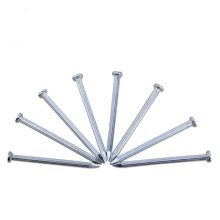 Electro concrete nails hot dipped galvanized concrete nails China manufacture
